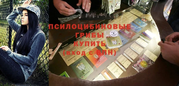 гидропоника Белокуриха